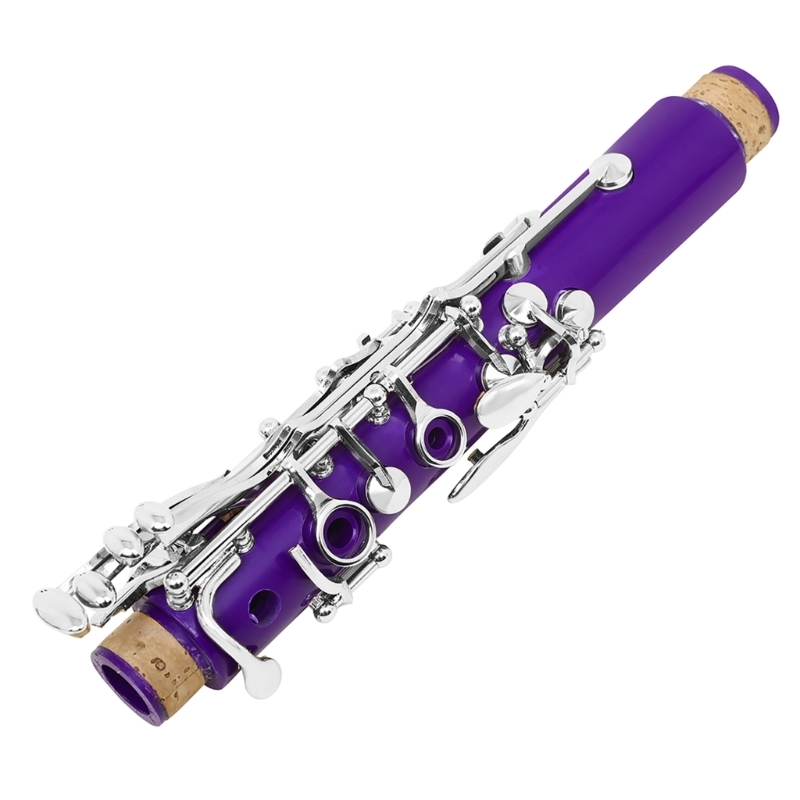 Musical Instrument In Orchestra - Set Instrumen Klarinet Plastik Siswa 17