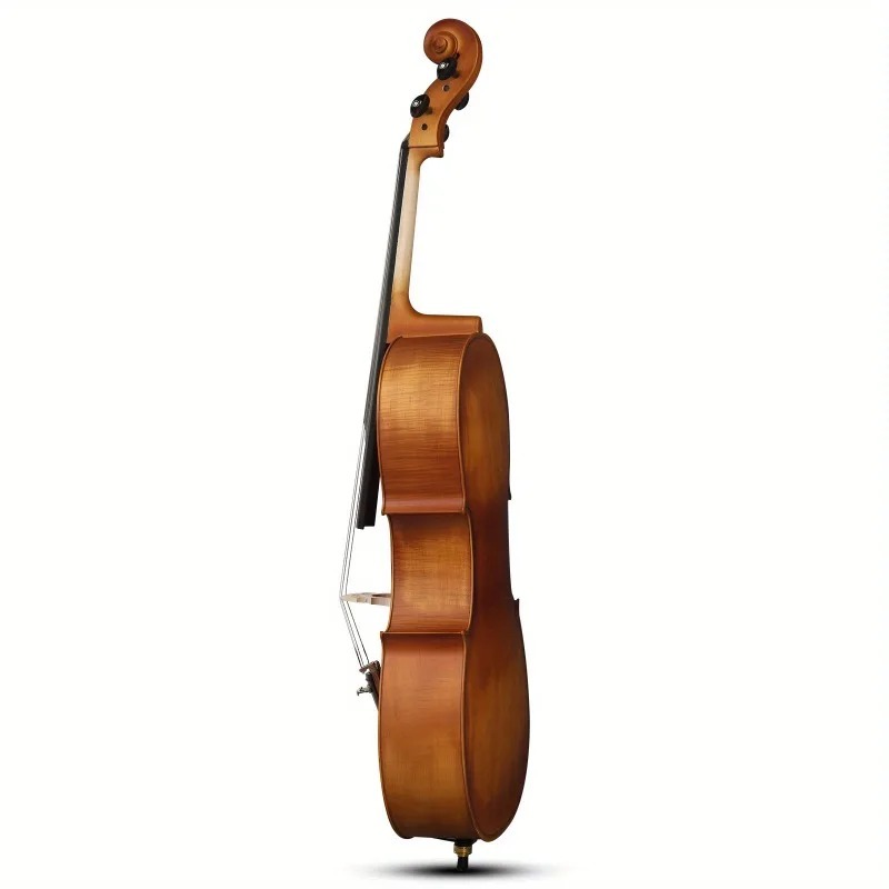 Panel Cello BASSWOOD Warna Nat - Musical Instrument In Orchestra ulasan dan harga