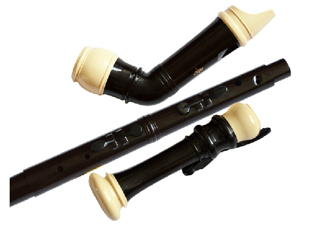 Profesional 8 Lubang Baroque B - Musical Instrument Recorder ulasan dan harga