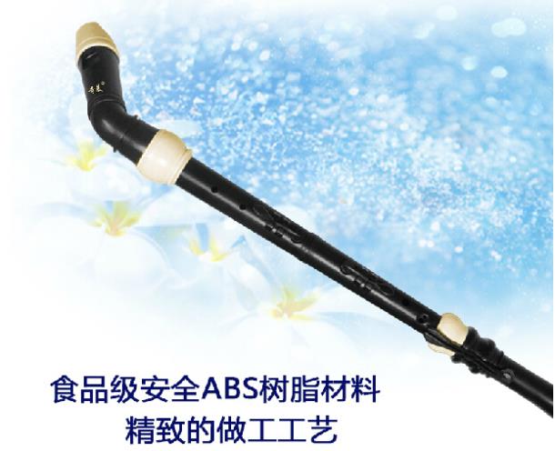 Profesional 8 Lubang Baroque B - Musical Instrument Recorder ulasan dan harga
