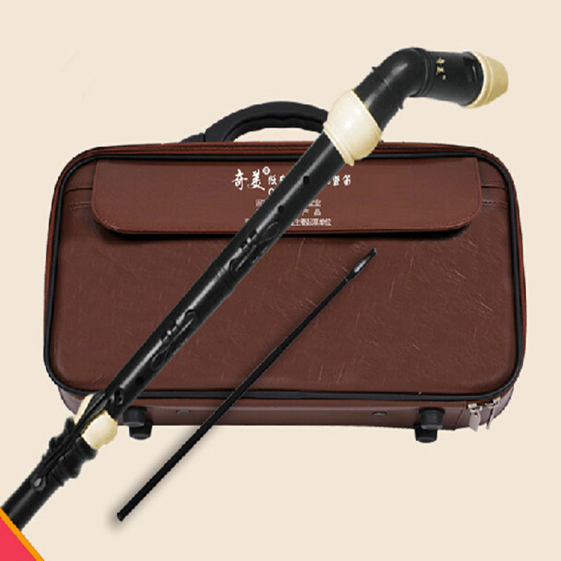 Profesional 8 Lubang Baroque B - Musical Instrument Recorder ulasan dan harga